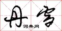 朱锡荣丹雪草书怎么写