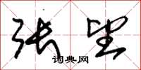 朱锡荣张望草书怎么写