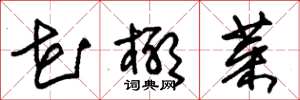 朱锡荣花椰菜草书怎么写