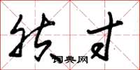 朱锡荣肤寸草书怎么写