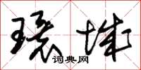 朱锡荣环城草书怎么写