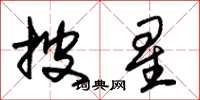 朱锡荣披星草书怎么写