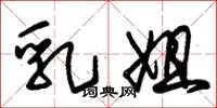 朱锡荣乳姐草书怎么写