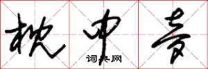 朱锡荣枕中梦草书怎么写