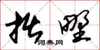 朱锡荣拙野草书怎么写