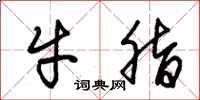 朱锡荣牛脂草书怎么写