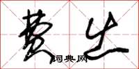 朱锡荣费出草书怎么写