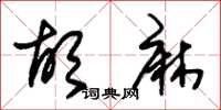 朱锡荣胡麻草书怎么写