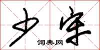 朱锡荣少牢草书怎么写