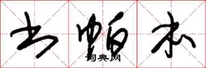 朱锡荣书帕本草书怎么写