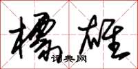 朱锡荣标雄草书怎么写