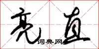 朱锡荣亮直草书怎么写