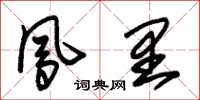 朱锡荣凤里草书怎么写