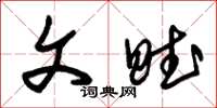 朱锡荣文赋草书怎么写