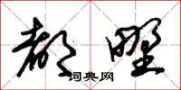 朱锡荣都野草书怎么写