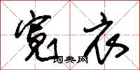 朱锡荣宽衣草书怎么写