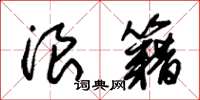 朱锡荣浪籍草书怎么写