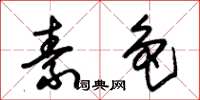 朱锡荣素色草书怎么写
