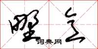 朱锡荣野意草书怎么写