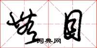 朱锡荣无目草书怎么写