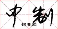 朱锡荣中制草书怎么写