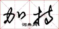 朱锡荣加持草书怎么写