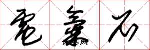 朱锡荣电气石草书怎么写