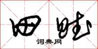 朱锡荣田赋草书怎么写