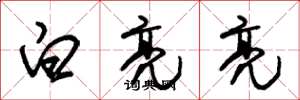 朱锡荣白亮亮草书怎么写