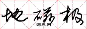 朱锡荣地磁极草书怎么写