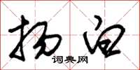 朱锡荣扬白草书怎么写