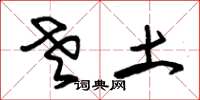 朱锡荣老土草书怎么写