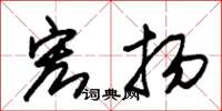 朱锡荣宏扬草书怎么写