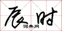 朱锡荣辰时草书怎么写