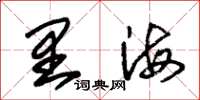 朱锡荣里海草书怎么写