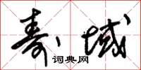 朱锡荣寿域草书怎么写