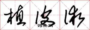 朱锡荣植皮术草书怎么写