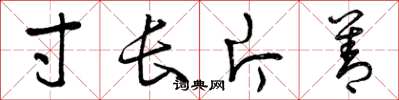 曾庆福寸长片善草书怎么写