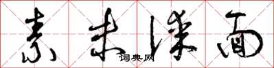 曾庆福素未谋面草书怎么写