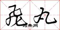 曾庆福飞丸草书怎么写