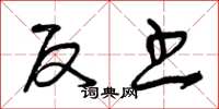 曾庆福反书草书怎么写