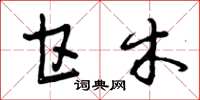 曾庆福甘木草书怎么写