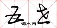 曾庆福五世草书怎么写