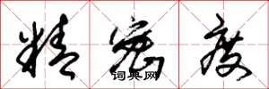 朱锡荣精密度草书怎么写
