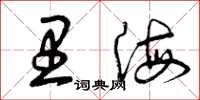 曾庆福里海草书怎么写