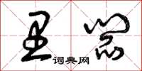 曾庆福里阎草书怎么写