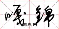 朱锡荣嘎锦草书怎么写