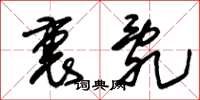 朱锡荣裹乱草书怎么写