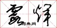 朱锡荣霞辉草书怎么写
