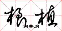 朱锡荣根植草书怎么写
